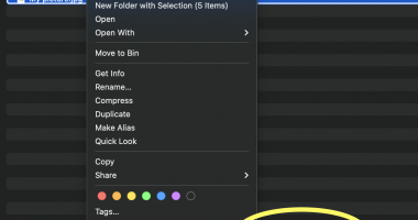 Quick Action - Zip with Password